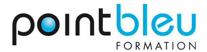 logo-point-bleu-formation-securite